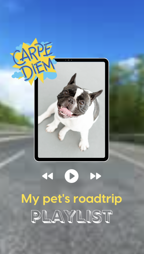 It is a dog's picture in side of a playlist button.