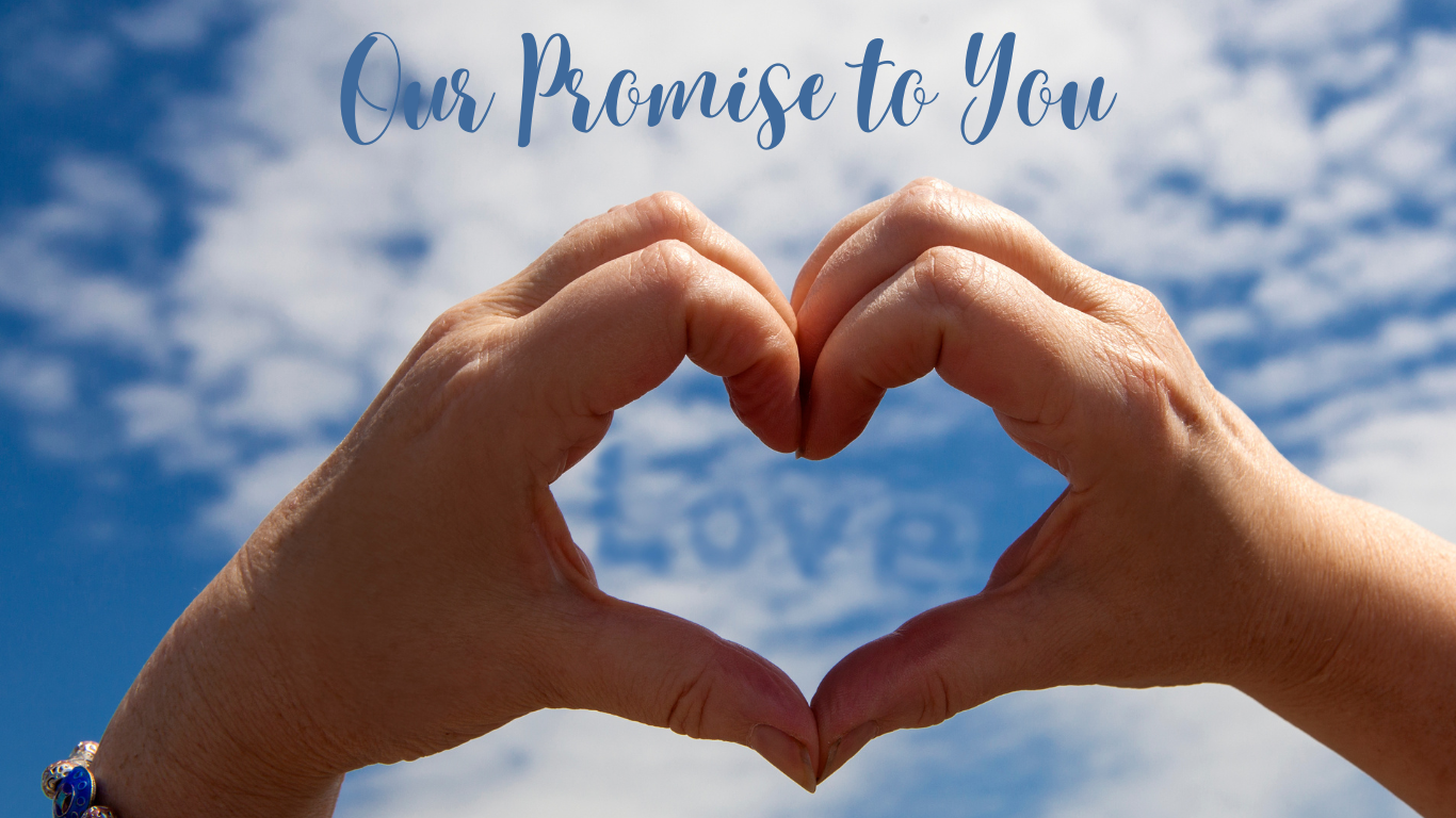 Our Promise to You (Website)