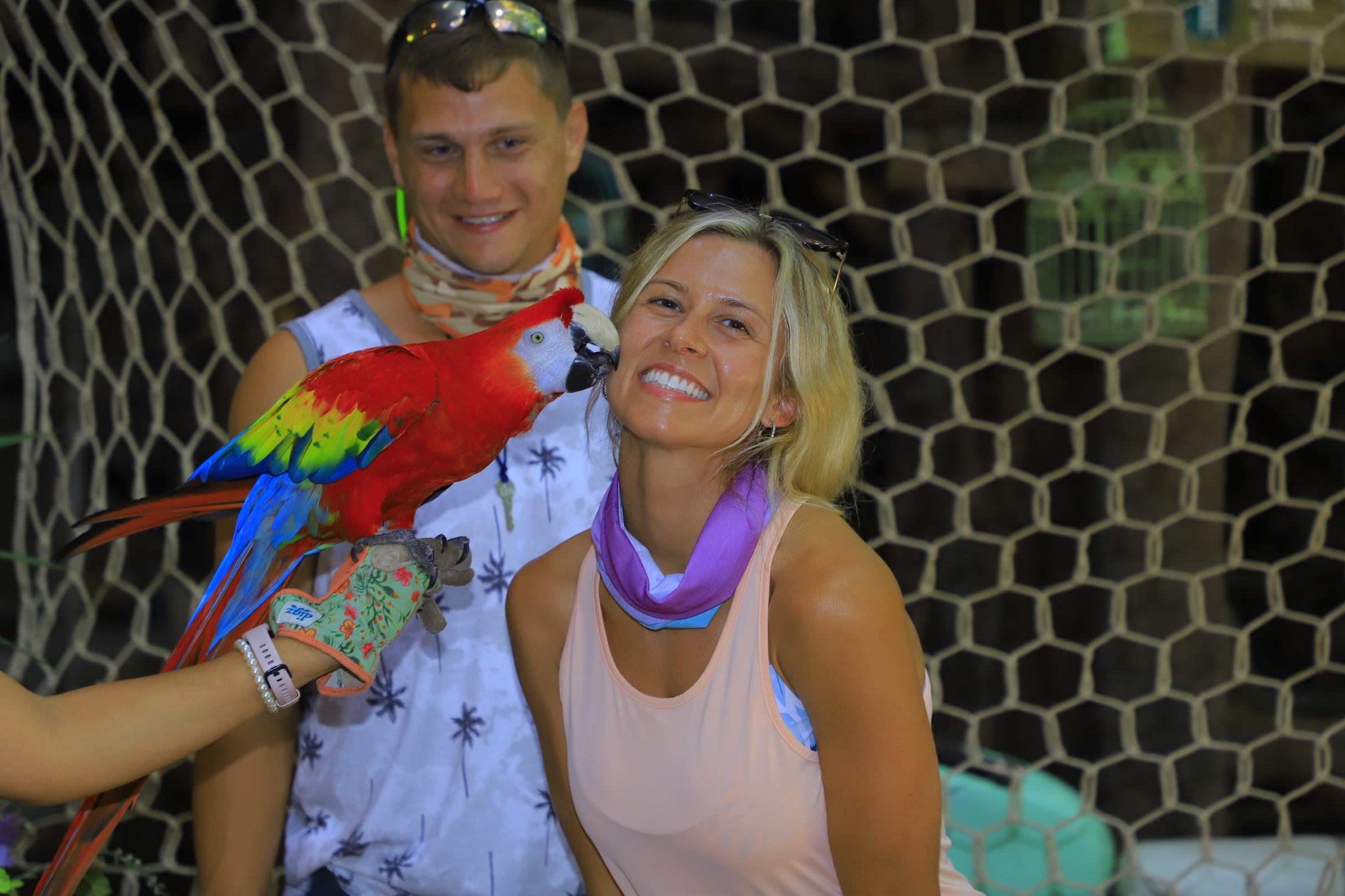 Sky Land and Sand Parrots Cancun